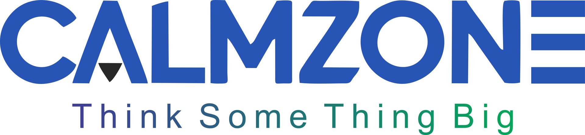 Calmzone Services Pvt. Ltd.
